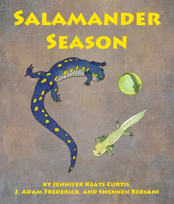 Sezon salamander - Salamander Season