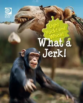 Co za palant! - What a Jerk!