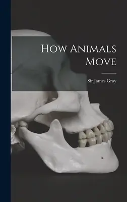 Jak poruszają się zwierzęta - How Animals Move