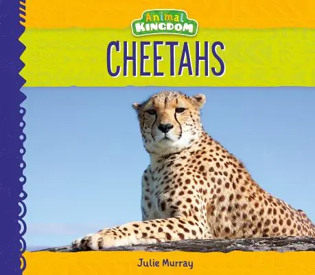 Gepardy - Cheetahs