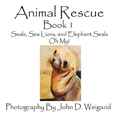 Animal Rescue, Book 1, Foki, lwy morskie i słonie morskie, ojej! - Animal Rescue, Book 1, Seals, Sea Lions And Elephant Seals, Oh My!