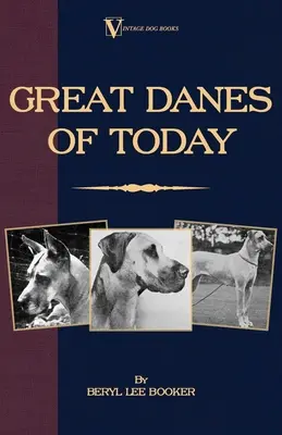 Współczesne dogi wielkie - Great Danes of Today