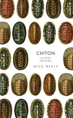 Chiton i inne stworzenia - Chiton & Other Creatures