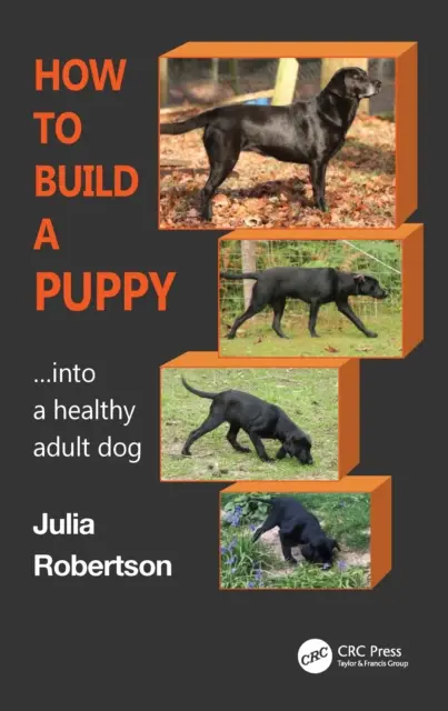 Jak zmienić szczeniaka: W zdrowego dorosłego psa - How to Build a Puppy: Into a Healthy Adult Dog