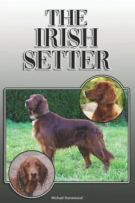 Seter irlandzki: A Complete and Comprehensive Owners Guide To: Kupno, Posiadanie, Zdrowie, Pielęgnacja, Szkolenie, Posłuszeństwo, Zrozumienie i - The Irish Setter: A Complete and Comprehensive Owners Guide To: Buying, Owning, Health, Grooming, Training, Obedience, Understanding and