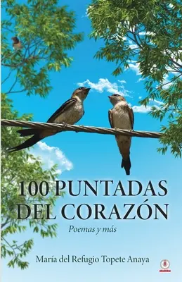 100 puntadas del corazn: Poemas y ms
