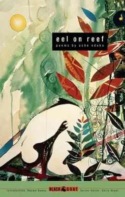 Węgorz na rafie - Eel on Reef