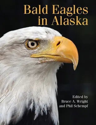 Orły bieliki na Alasce - Bald Eagles in Alaska