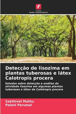 Wykrywanie lizozymu w roślinach bulwiastych Calotropis procera - Deteco de lisozima em plantas tuberosas e ltex Calotropis procera