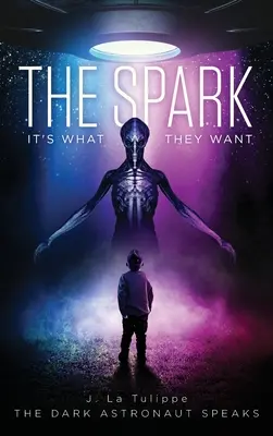 The Spark: To jest to, czego chcą - The Spark: It's What They Want