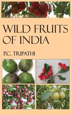 Dzikie owoce Indii - Wild Fruits of India