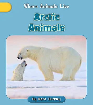 Zwierzęta arktyczne - Arctic Animals