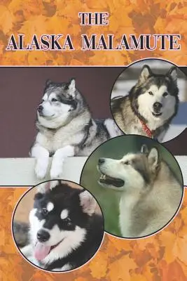 Alaska Malamute: Kompletny i kompleksowy przewodnik dla początkujących: Kupno, Posiadanie, Zdrowie, Pielęgnacja, Szkolenie, Posłuszeństwo, Zrozumienie - The Alaska Malamute: A Complete and Comprehensive Beginners Guide To: Buying, Owning, Health, Grooming, Training, Obedience, Understanding