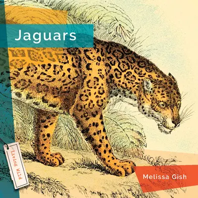 Jaguary - Jaguars