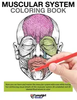 Kolorowanka z układem mięśniowym - Muscular System Coloring Book