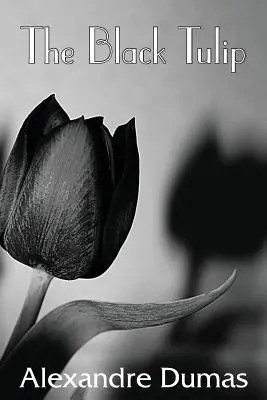 Czarny tulipan - The Black Tulip