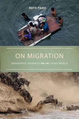 O migracji: Niebezpieczne podróże i żyjący świat - On Migration: Dangerous Journeys and the Living World