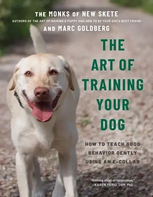 Sztuka szkolenia psa: jak delikatnie uczyć dobrego zachowania za pomocą obroży elektronicznej - The Art of Training Your Dog: How to Gently Teach Good Behavior Using an E-Collar