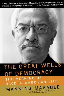 Wielkie studnie demokracji: Znaczenie rasy w amerykańskim życiu - The Great Wells of Democracy: The Meaning of Race in American Life