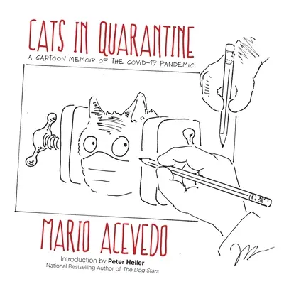 Koty w kwarantannie - Cats in Quarantine