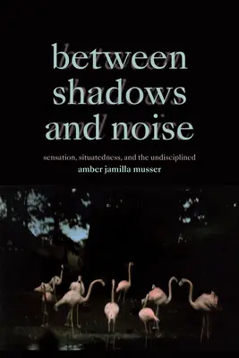 Między cieniem a hałasem: Doznania, umiejscowienie i niezdyscyplinowanie - Between Shadows and Noise: Sensation, Situatedness, and the Undisciplined