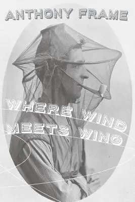 Gdzie wiatr spotyka się ze skrzydłem - Where Wind Meets Wing