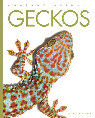 Gekony - Geckos