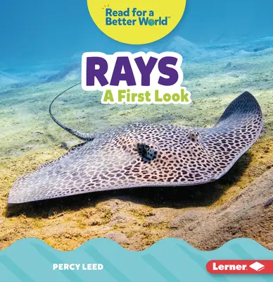 Promienie: Pierwsze spojrzenie - Rays: A First Look