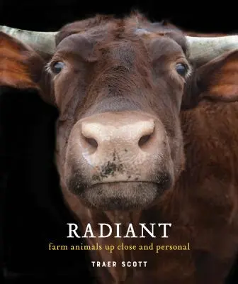 Radiant: Zwierzęta hodowlane z bliska i osobiście (Książka fotografii zwierząt hodowlanych) - Radiant: Farm Animals Up Close and Personal (Farm Animal Photography Book)