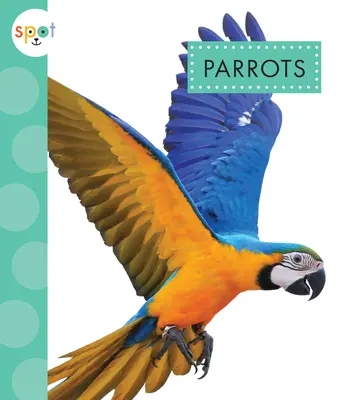 Papugi - Parrots