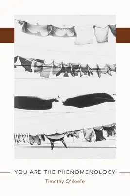 Jesteś fenomenologią - You Are the Phenomenology