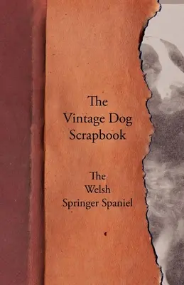 Album o psach w stylu vintage - Springer spaniel walijski - The Vintage Dog Scrapbook - The Welsh Springer Spaniel