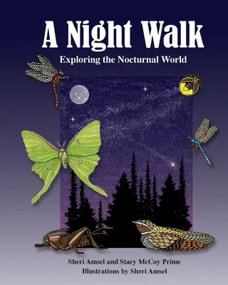 Nocny spacer: Odkrywanie nocnego świata - A Night Walk: Exploring the Nocturnal World