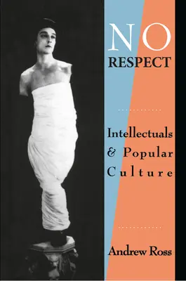 Bez szacunku: Intelektualiści i kultura popularna - No Respect: Intellectuals and Popular Culture