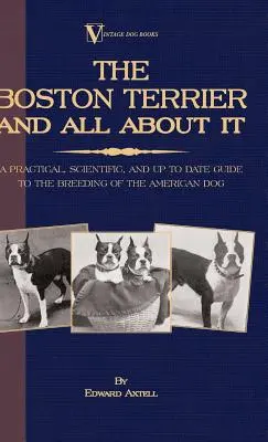 The Boston Terrier And All About It - A Practical, Scientific, And Up To Date Guide To The Breeding Of The American Dog (A Vintage Dog Books Breed Cla