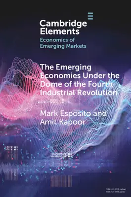 Wschodzące gospodarki pod kopułą czwartej rewolucji przemysłowej - The Emerging Economies Under the Dome of the Fourth Industrial Revolution