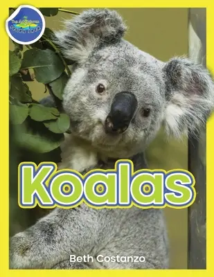 Koala Zeszyt ćwiczeń dla dzieci w wieku 4-8 lat - Koala Activity Workbook ages 4-8