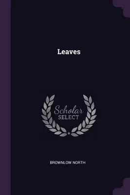 Liście - Leaves