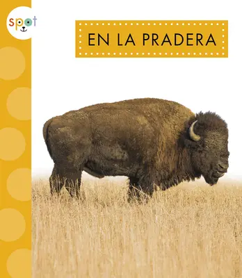 W Praderze - En La Pradera