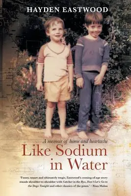 Jak sód w wodzie: Pamiętnik domu i bólu serca - Like Sodium in Water: A memoir of home and heartache