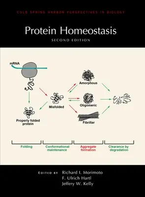 Homeostaza białek, wydanie drugie - Protein Homeostasis, Second Edition