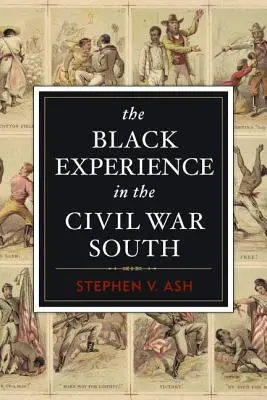 Doświadczenia czarnoskórych na Południu w czasie wojny secesyjnej - The Black Experience in the Civil War South