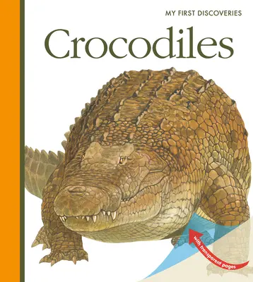 Krokodyle - Crocodiles