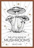 Mała księga grzybów - wprowadzenie do wspaniałego świata grzybów - Little Book of Mushrooms - An Introduction to the Wonderful World of Mushrooms