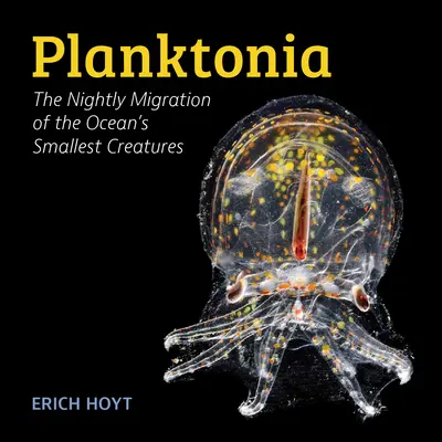 Planktonia: Nocna migracja najmniejszych stworzeń oceanu - Planktonia: The Nightly Migration of the Ocean's Smallest Creatures