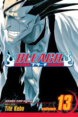 Bleach, Vol. 13: Tom 13 - Bleach, Vol. 13: Volume 13