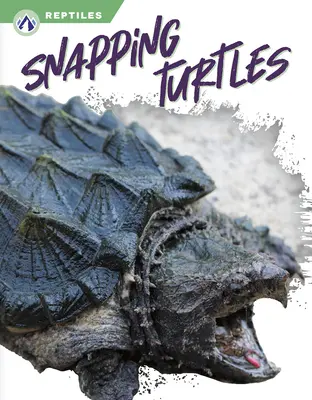 Kłapouche żółwie - Snapping Turtles