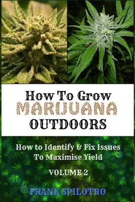 Jak uprawiać marihuanę na zewnątrz: jak zidentyfikować i naprawić problemy, aby zmaksymalizować plony - How to Grow Marijuana Outdoors: How to Identify & Fix Issues To Maximise Yield