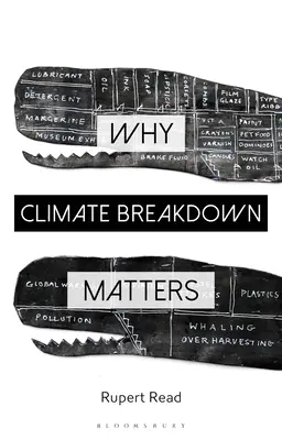 Dlaczego załamanie klimatu ma znaczenie - Why Climate Breakdown Matters