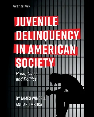 Przestępczość nieletnich w społeczeństwie amerykańskim: Rasa, klasa i polityka - Juvenile Delinquency in American Society: Race, Class, and Politics